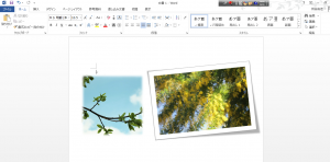 Word2013でFacebookの写真を挿入